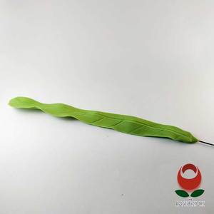 Long Green Leaf (505) – The Rose Factory