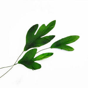 Leaf Set (3 pcs) – The Rose Factory
