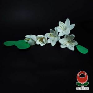 Flower Spray (1257) – The Rose Factory