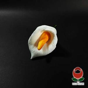 Products: White Calla Lily Flower – The Rose Factory