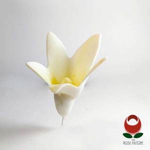 Products: Flower – FLOW009 – The Rose Factory
