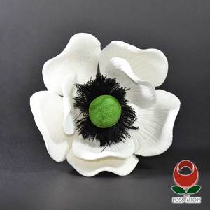 Anemone Flower – The Rose Factory