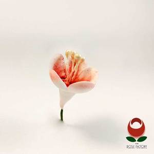 Products: Flower (310) – The Rose Factory