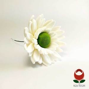 Products: White Daisy Flower – The Rose Factory