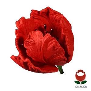 Red Parrot Tulip Flower – The Rose Factory