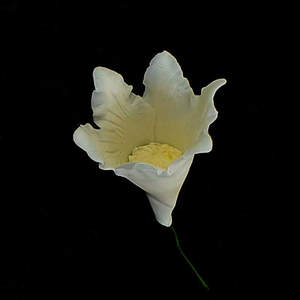 Gumpaste Flower (1758) – The Rose Factory