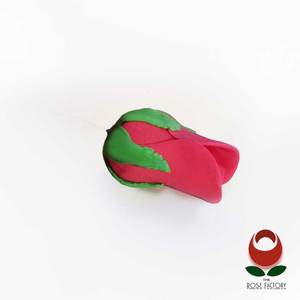 Products: Red Rose Bud – The Rose Factory