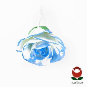 Blue Rose Flower (Two-tone) – The Rose Factory
