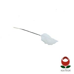 Products: White Leaf (515) – The Rose Factory