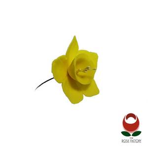 Products: Daffodil Flower (1152) – The Rose Factory