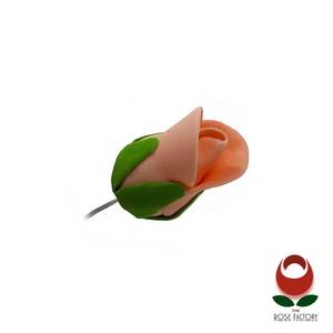 Peach Colour Rose Bud (1167) – The Rose Factory