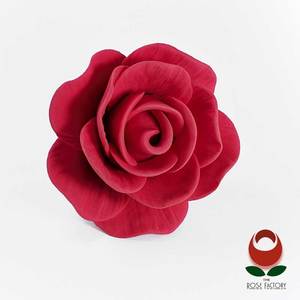 Red Rose Flower – The Rose Factory