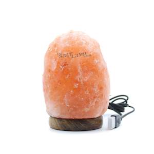 Natural Shaped Salt Lamps Wooden Base: Natural USB Salt Lamp (Timber Base)