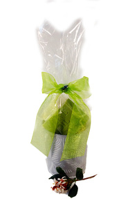 Products: Nature’s Flower Pot Gift Pack