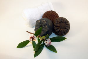 Products: Charcoal and Tea Tree Soap