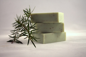 Products: Gardeners Soap