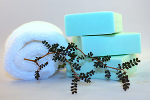 Products: Lemongrass Soap