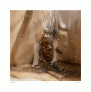 Products: Teddy 1 meter Canvas Print