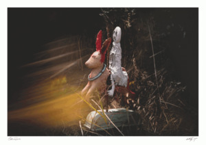 Products: Rabbit
