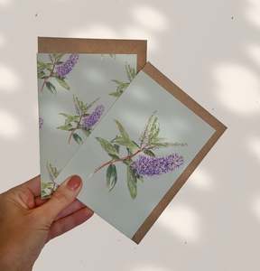 Greeting Cards: NEW ZEALAND HEBE greeting cards