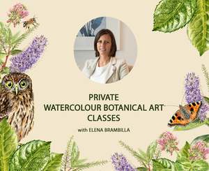 Watercolour Courses: PRIVATE ONLINE WATERCOLOUR CLASSES