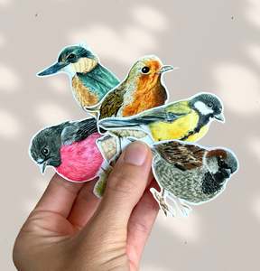 Stickers: GARDEN BIRDS stickers