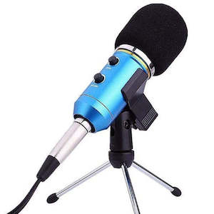 Music Instruments: Usb Microphone with Shock mount stand