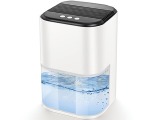 Products: Portable Dehumidifier 2000ml