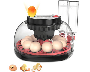 Business Farming Industry 1: Egg Incubator Hatcher