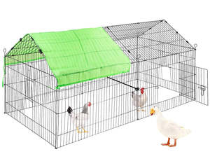 Outdoor Chicken Coop