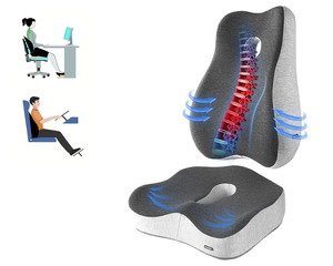 All: Cushion & Lumbar Support Pillow Set