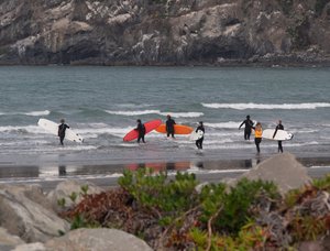 Products: Surf ORA (Donation) - The Single Fin Mingle