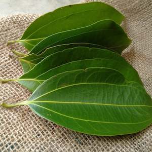 Essential Oils: Cinnamon Leaf Essential Oil - Certified Food Grade