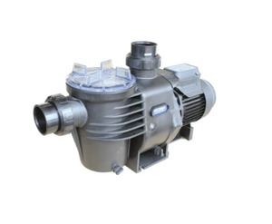 Pool Pumps: Waterco Hydrostorm 150 Pool Pump