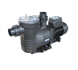 Pool Pumps: Waterco Supastream 150 Pool Pump