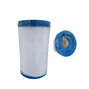 210 x 125 Vortex Spas Purezone Cam Lock Filter