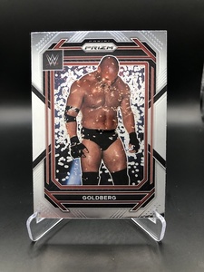 Products: 175 Goldberg – Prizm 2023 – The Sport Shed