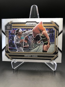 Products: 023 Wendy Choo – Prizm 2023 – The Sport Shed