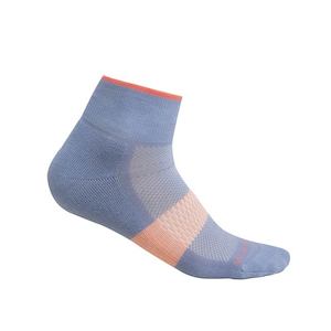Clothing Accessories Socks: Icebreaker Women's Merino Multisport Light Mini Socks