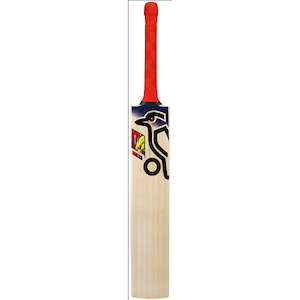 Sports Gear Cricket Bats: Kookaburra Beast Pro 9.0 Junior Cricket Bat