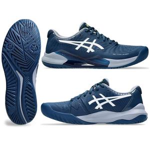 Footwear Mens Court: Asics Gel-Challenger 14 (Hardcourt) - Mens