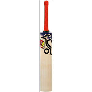 Sports Gear Cricket Bats: Kookaburra Beast Pro 9.0 Junior Cricket Bat