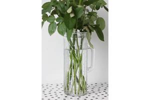 Products: Dimpled Glass Water Jug - The Style Aesthetic
