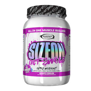 Gaspari: Gaspari - SizeOn Max Performance - 1.63kg - 4 delicious flavours