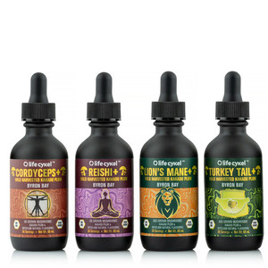 Products: Functional Liquid Mushroom Extracts - Tea Thief