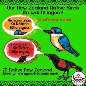 Products: Our New Zealand Native Birds-Ko wai tō ingoa? - The Te Reo Māori Classroom