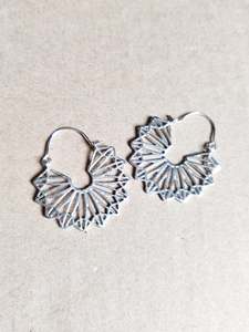 Plated Brass Earrings