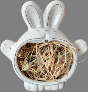Chinchilla Sale Items: Ceramic Hay Manger