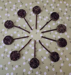 Chinchilla Sale Items: Dandy Pops | A Special Treat for Chinchillas