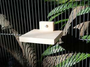 Ledges: Kiln-dried Pine 140mm Ledge for Chinchillas